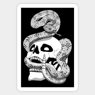 Skull And Snake Graphic Design Magnet